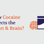 How Cocaine Affects the Heart and Brain
