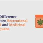 Differences Between Recreational Weed and Medicinal Marijuana