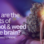 Protected: What are the effects of alcohol and weed on the brain?